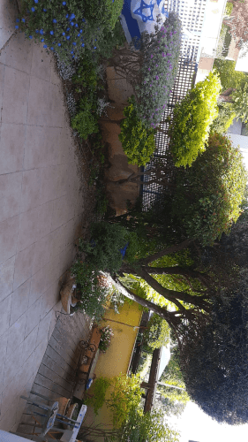 עיצוב גינה 2